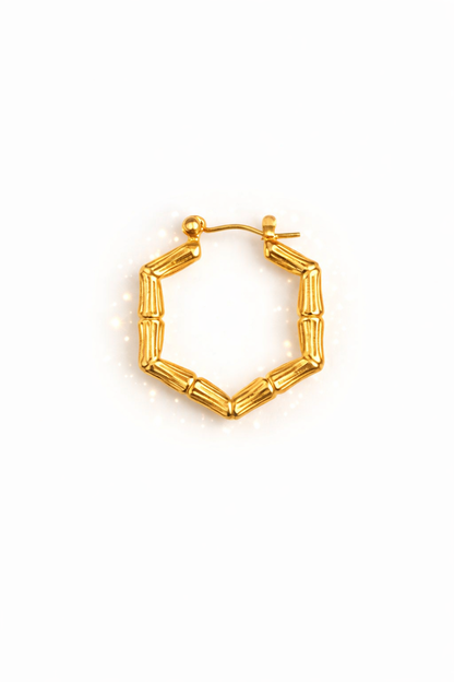 Halo Hoops Earrings 18KT gold Plated