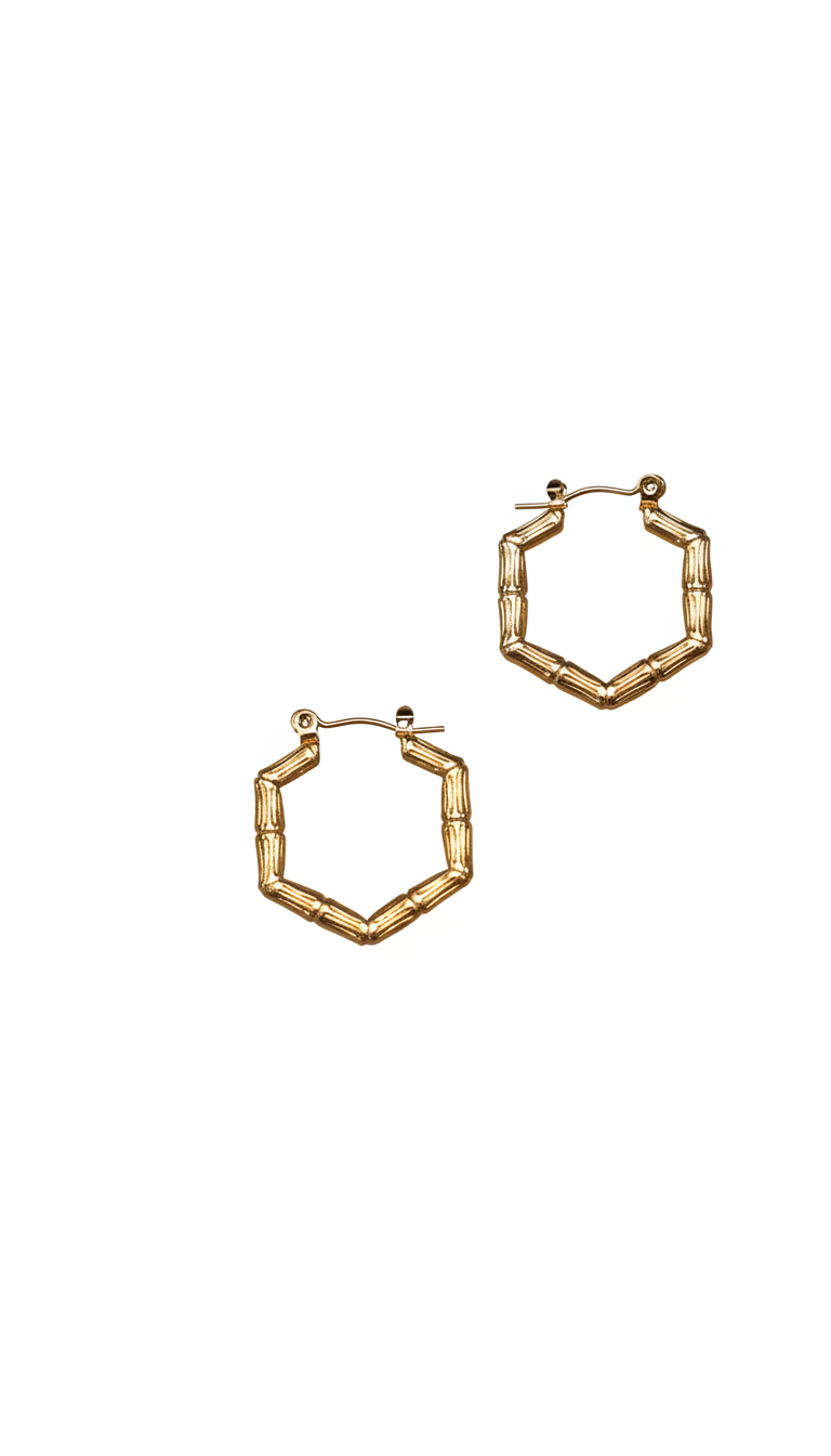Halo Hoops Earrings 18KT gold Plated
