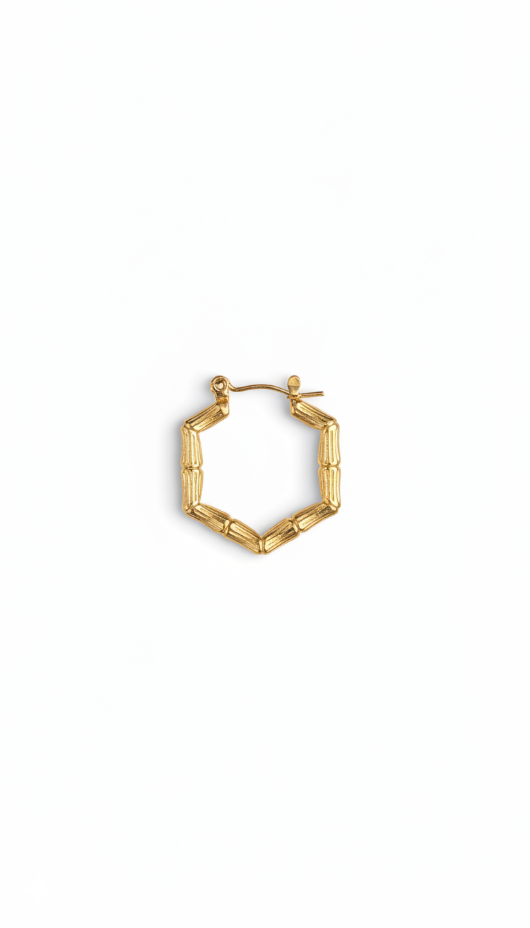 Halo Hoops Earrings 18KT gold Plated