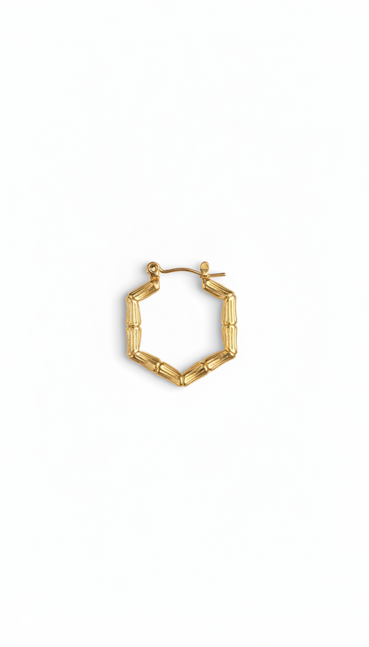 Halo Hoops Earrings 18KT gold Plated