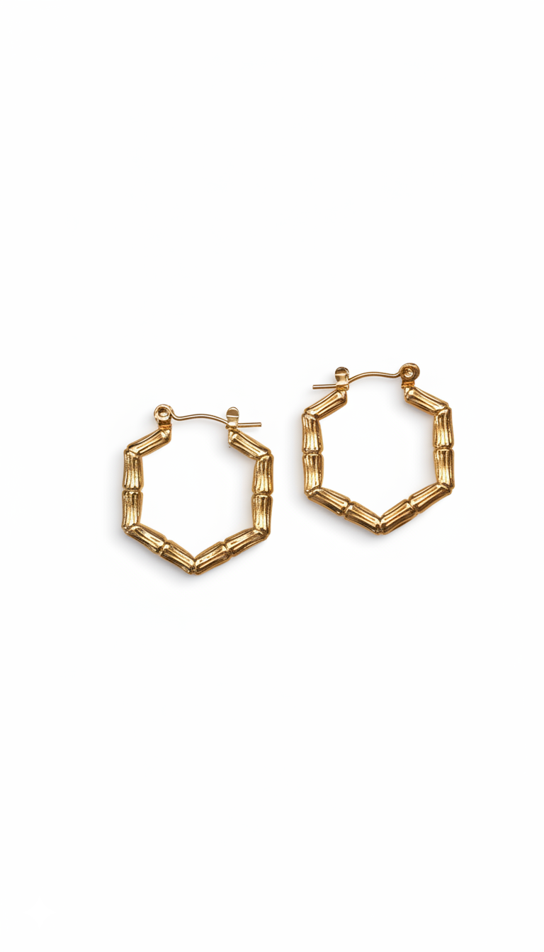 Halo Hoops Earrings 18KT gold Plated