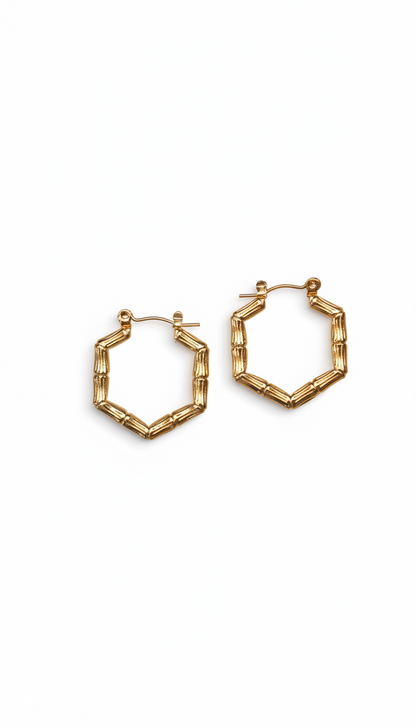 Halo Hoops Earrings 18KT gold Plated